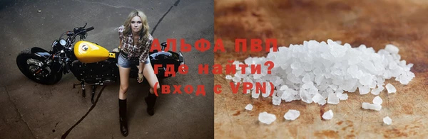 хмурый Зеленокумск