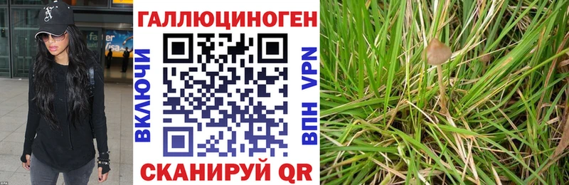 Галлюциногенные грибы ЛСД  Купить закладки  Кедровый 